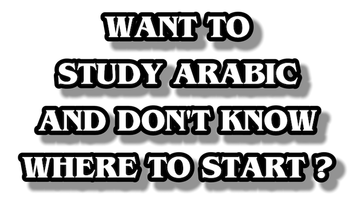 Study Arabic